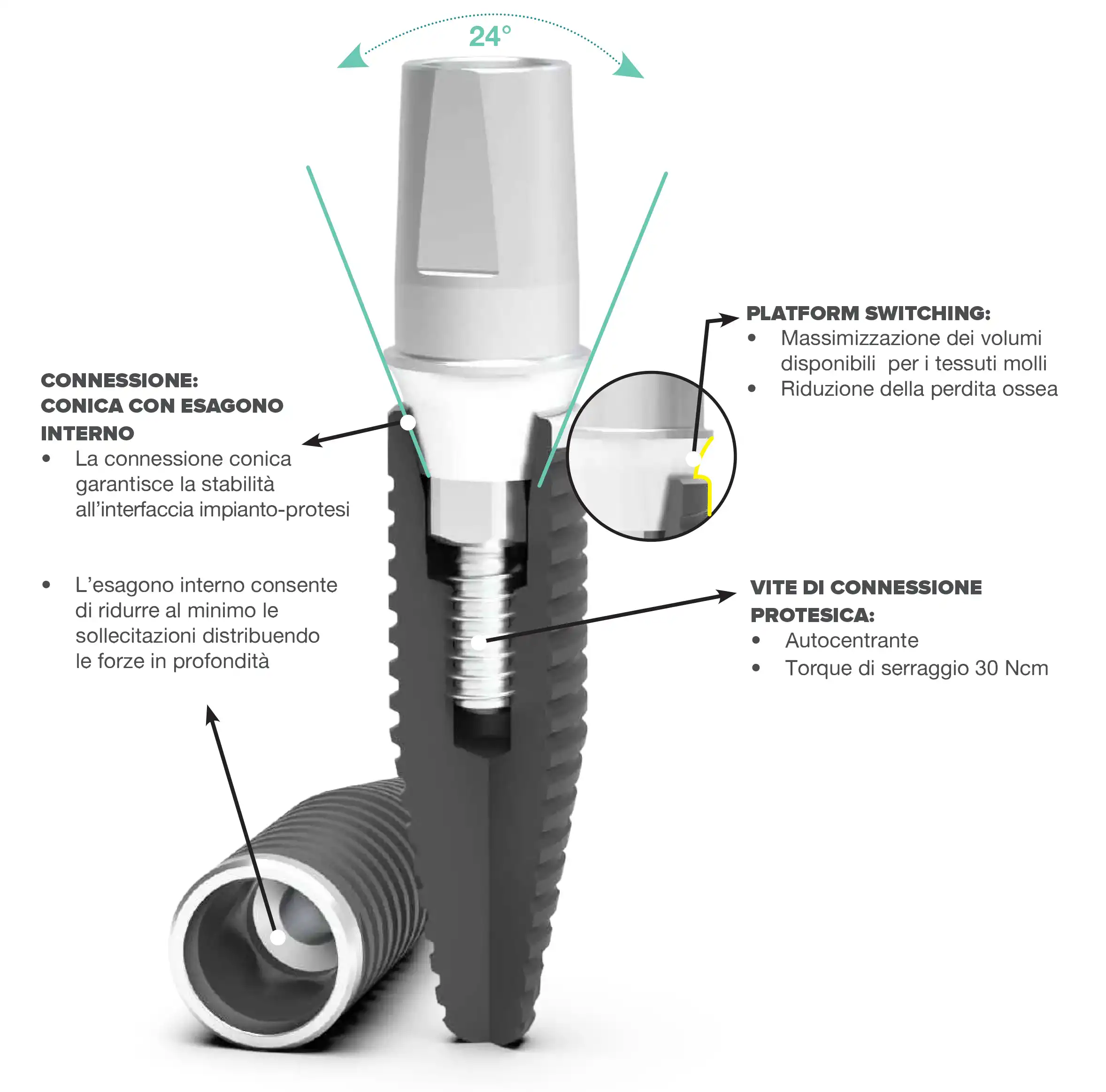 Conexi&oacute;n IGEA &mdash; esquema t&eacute;cnico
