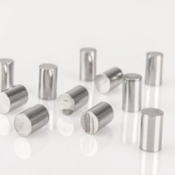 Leghe dentali Magnum – CrCo e Titanio Mesa Italia