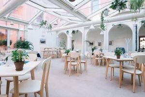 discovery mesa bue d'oro