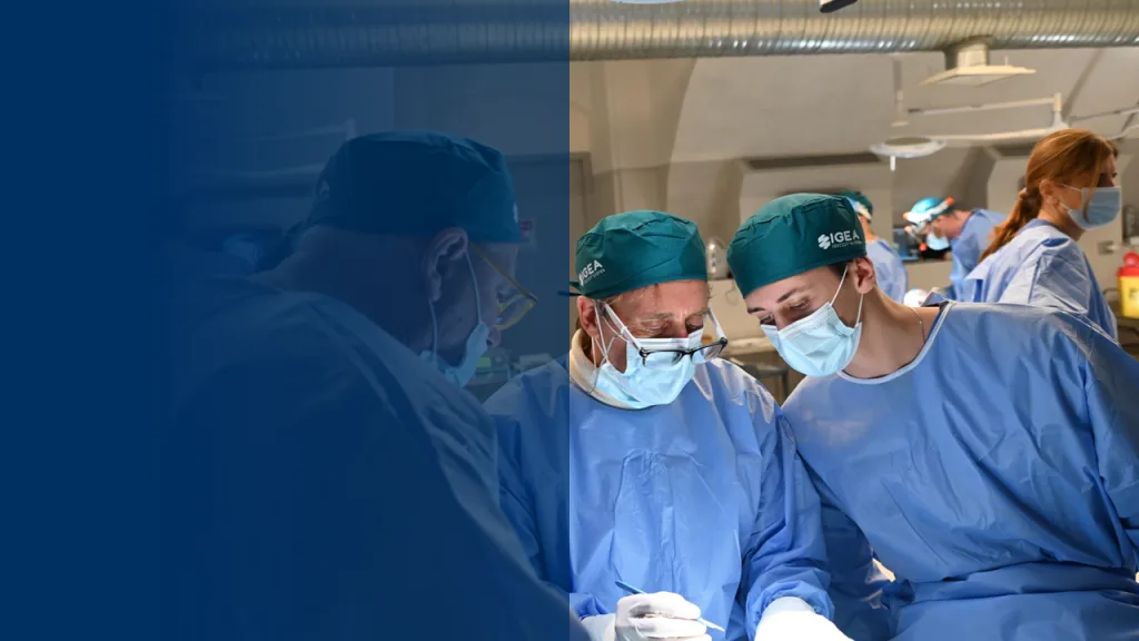 Corso anatomia chirurgica dissettiva - Mesa Italia