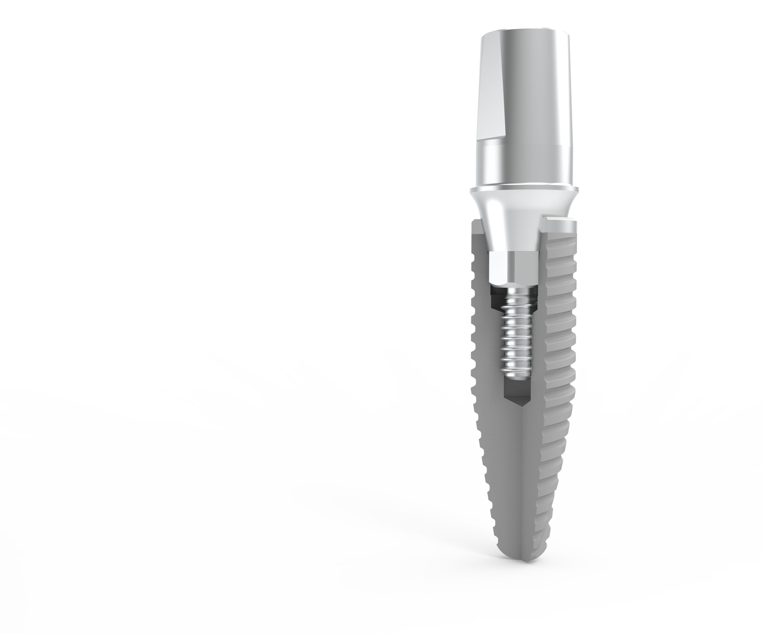 IGEA conical implant-abutment connection (section view)