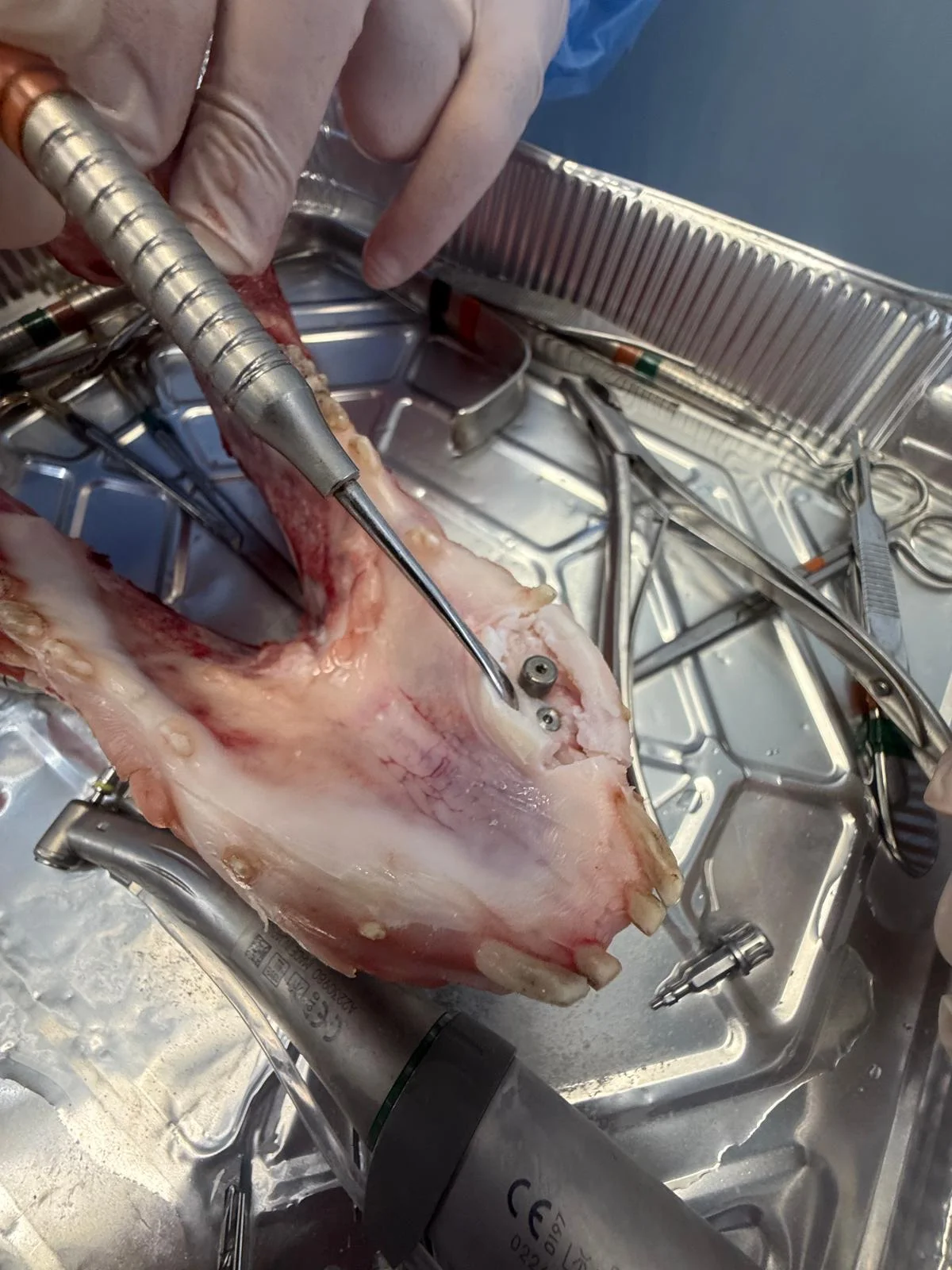 Vassoio e strumentario chirurgico per esercitazione implantare
